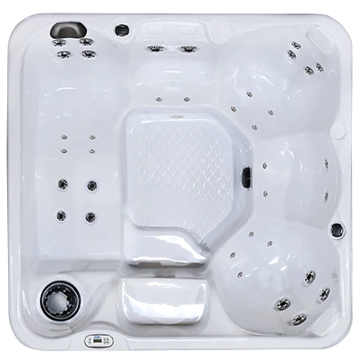 Hawaiian PZ-636L hot tubs for sale in Allentown